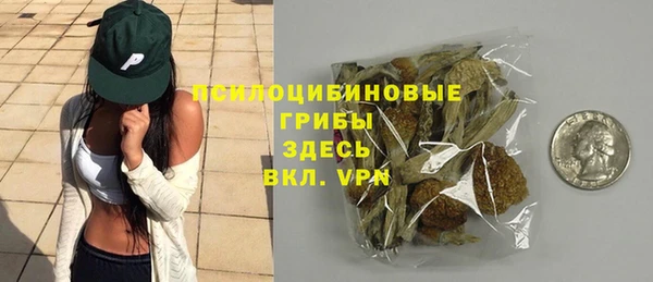 а пвп мука Гусиноозёрск