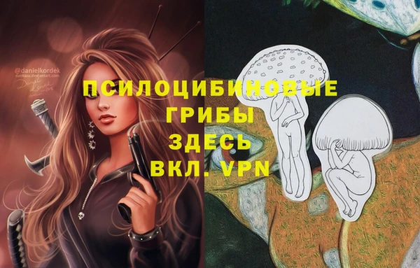 мдма Гусь-Хрустальный