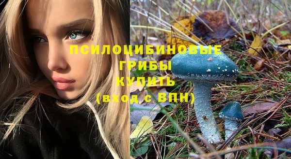 героин Горняк