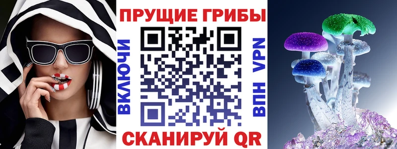Купить  Железногорск  Псилоцибиновые грибы прущие грибы 